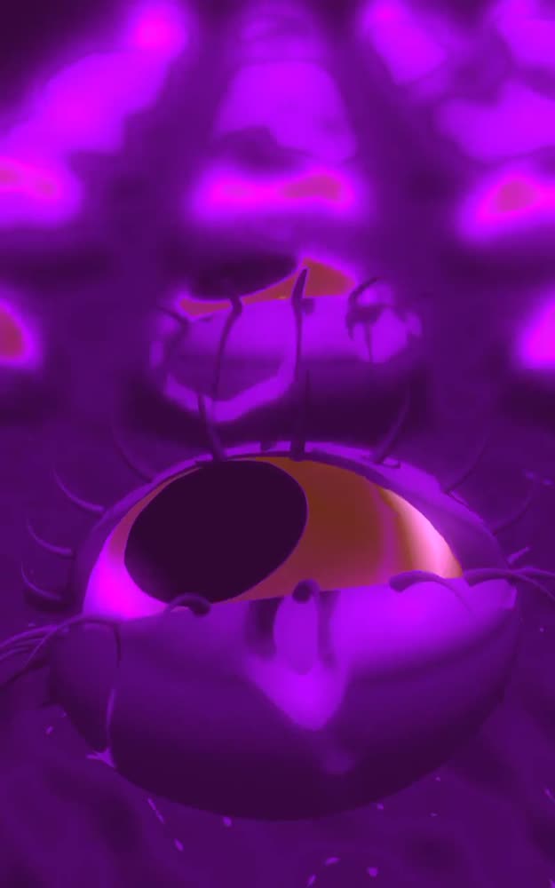 Procedurally generated eyes with procedural animation